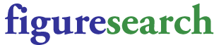 figure search logo